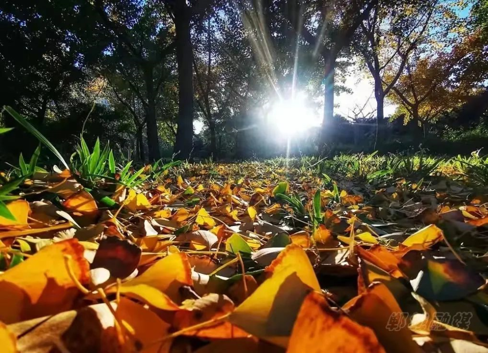 人民公園人工湖氣勢凜然碧水藍天涼風習習為這個初冬增添了一抹美好的