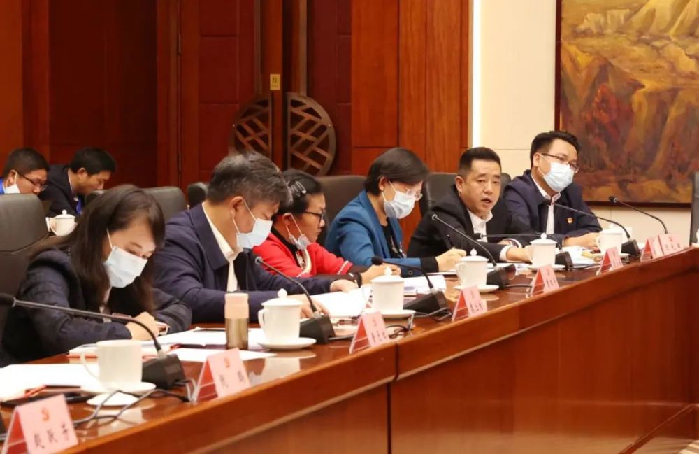 临沧代表团讨论审议党代会报告奋进新时代 展现新作为