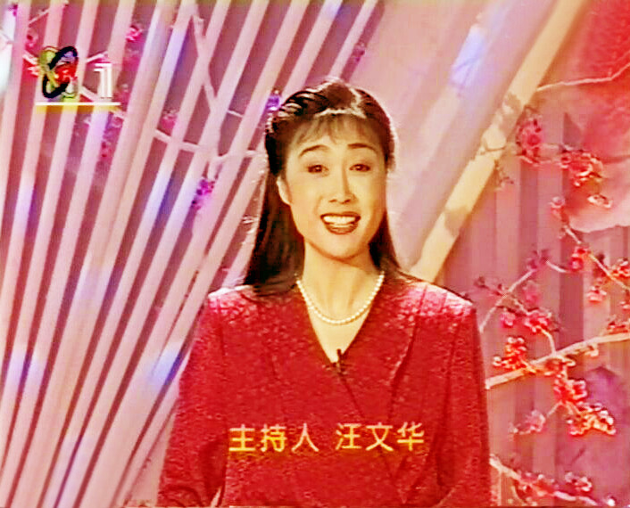 《曲苑杂坛》主持人汪文华:与丈夫跨国分局17年,现状如何?