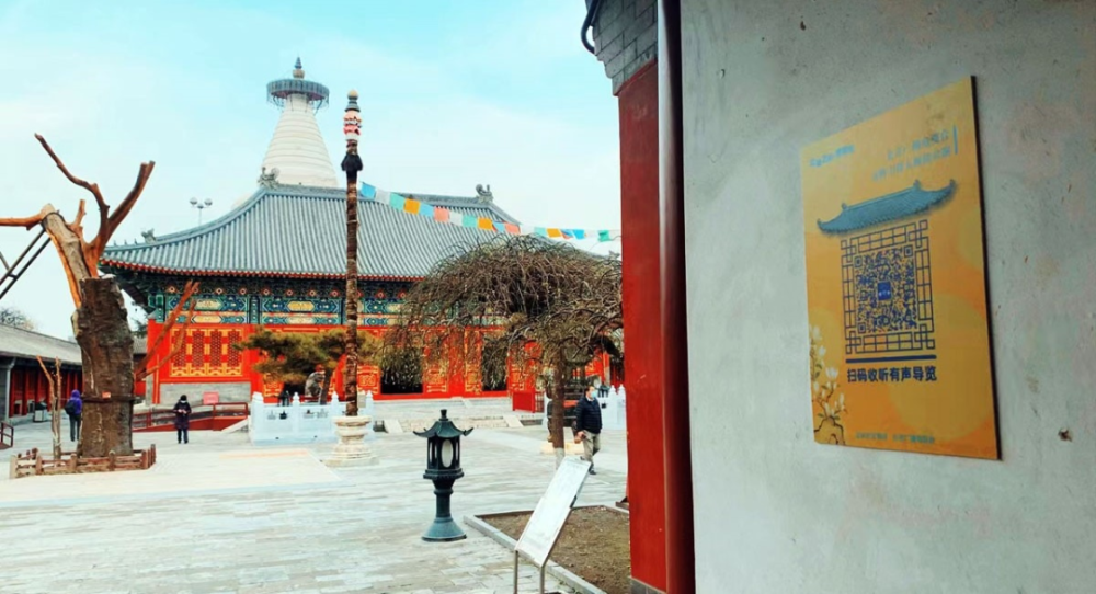 “北京之声·博物馆”入驻白塔寺语音伴游助力服务升级南瓜饼的做法窍门