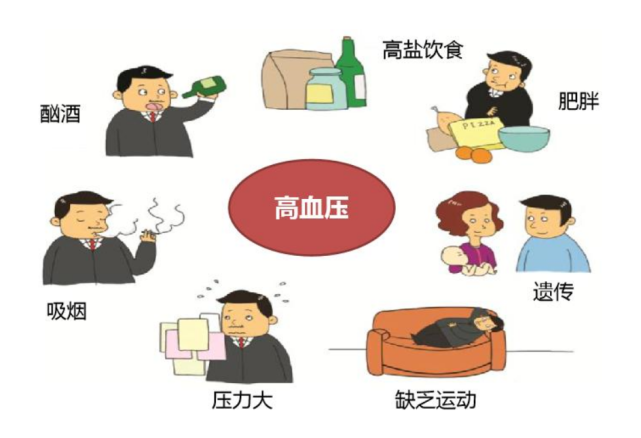 这几样东西是血管的"清道夫",缓解高血压,血管更无忧