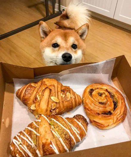 伦家就吃一口,真的～快擦擦你的口水吧!