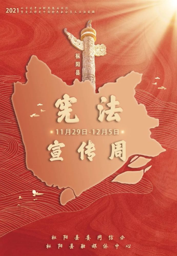 红色枞阳百年英杰第十四集捐躯赴国难视死忽如归史伟