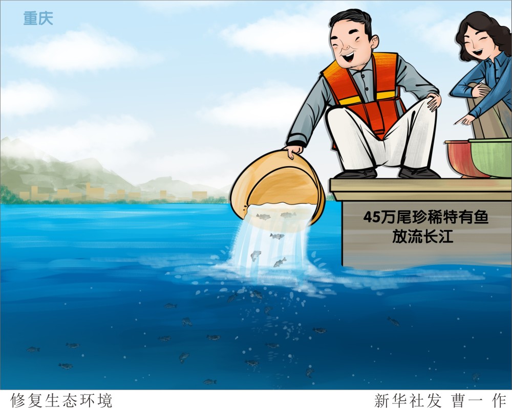 图表漫画环境修复生态环境