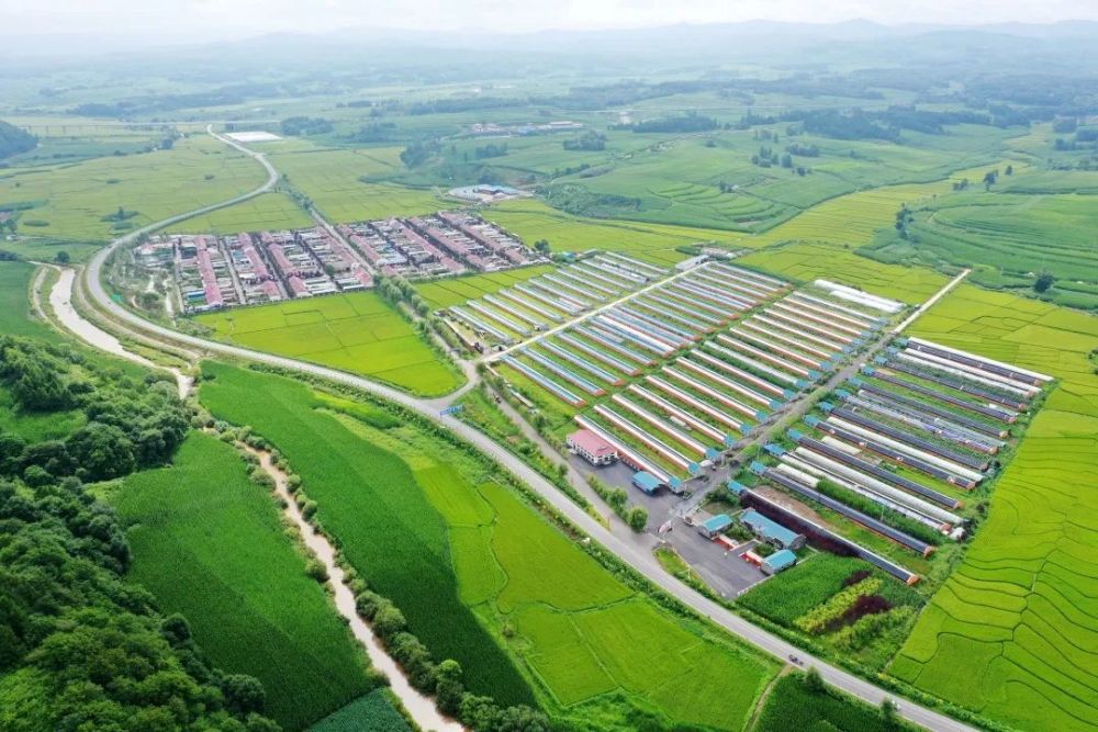 【辉南速变记】改善人居环境 擦亮乡村振兴底色_腾讯新闻