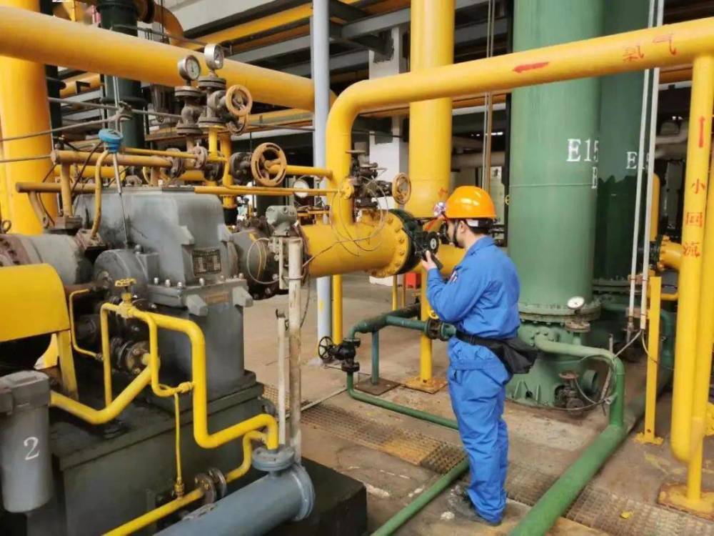 技能让生活更美好从食堂到车间卢学锋成化工领域技能大师