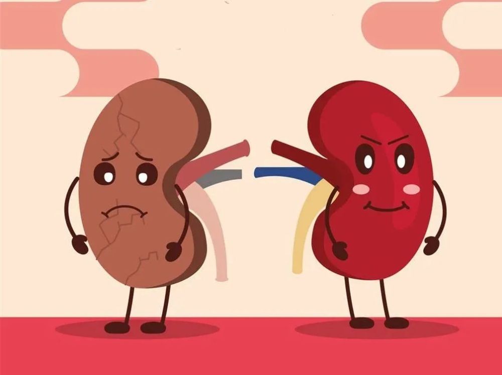 遗传性肾病 腾讯网