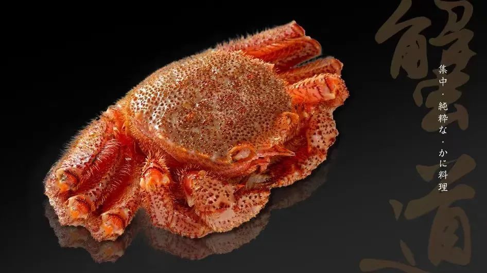 often referred to as the north pacific snow crab, or opilio