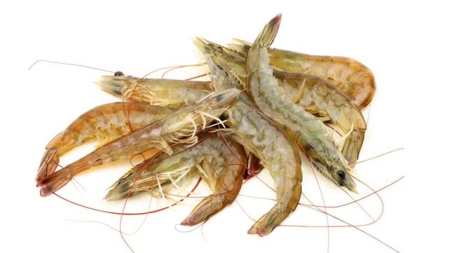 粤菜大师教您制作正统岭南风味,白灼鲜虾,鲜嫩爽滑健康营养