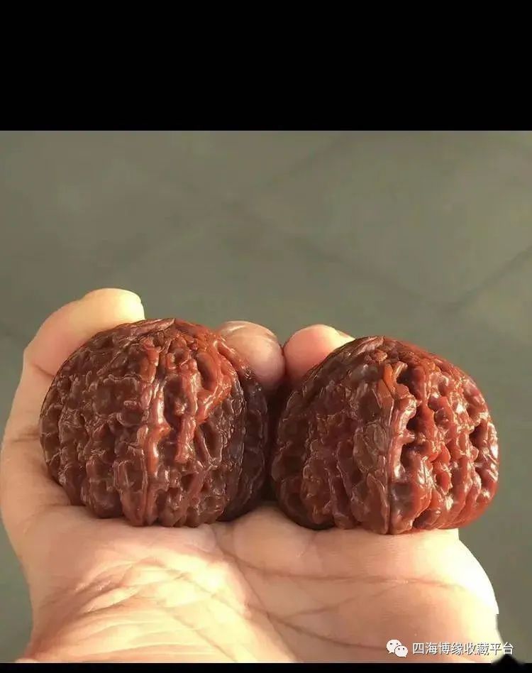 白狮子头的由来_腾讯新闻
