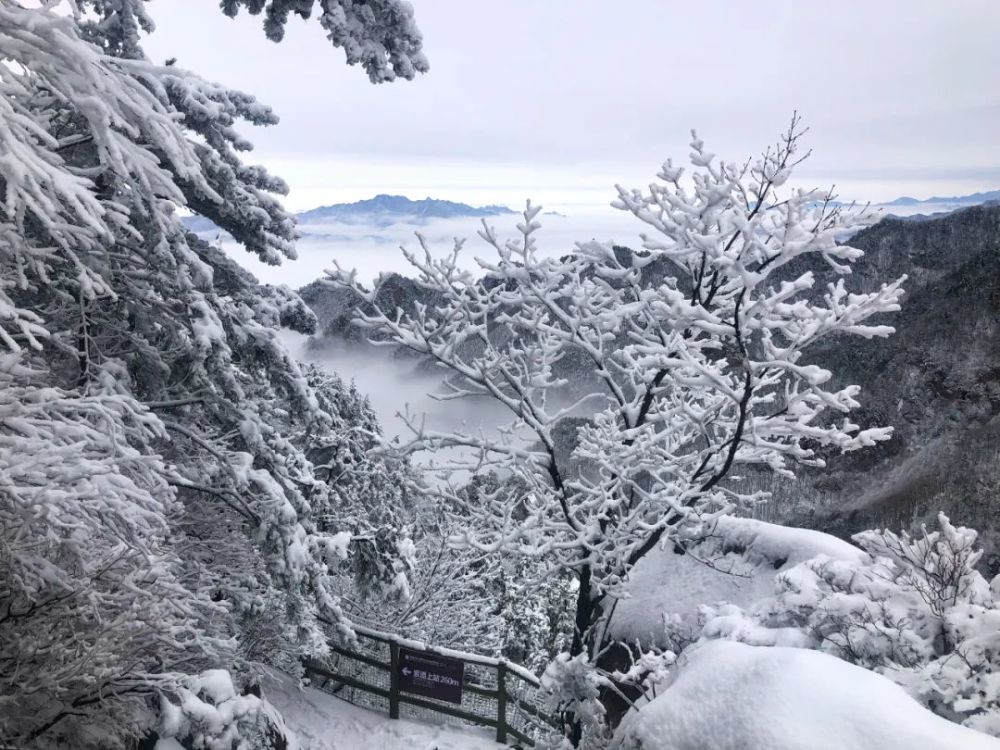 南阳下雪了!明天最低气温-3