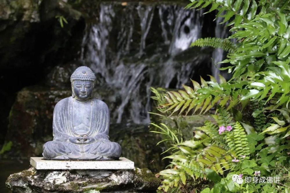 【行者随笔077】修行路上的美景_腾讯新闻