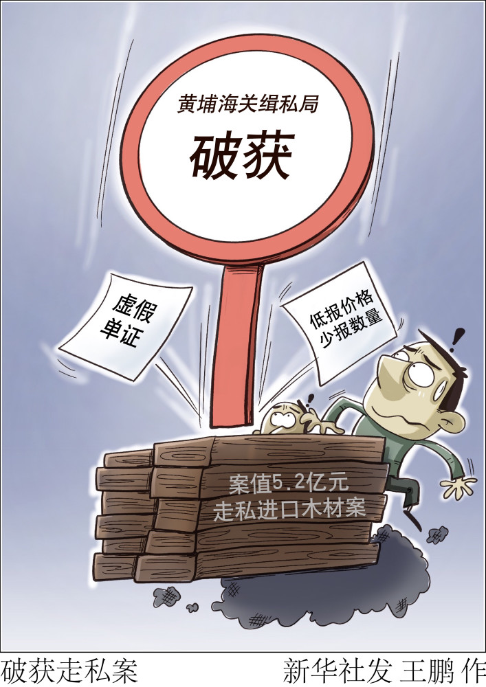 图表漫画法治破获走私案