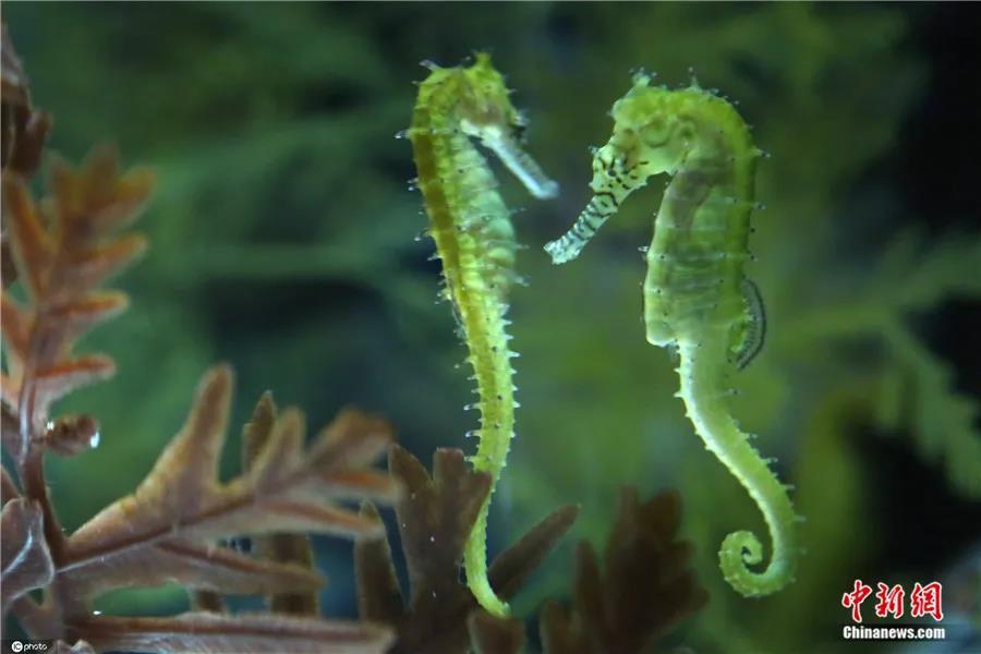 中国南海海洋风向图_广东海洋大学寸金学院挂科_中国科学院南海海洋研究所