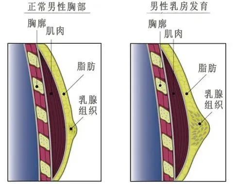 當青春期的男孩長出