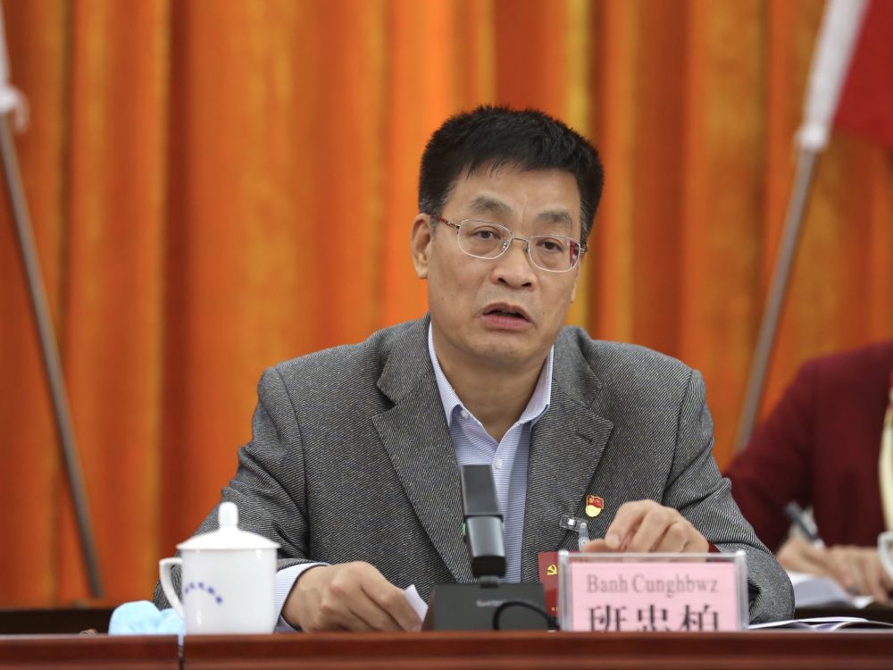 自治区民宗委直属机关第二次党员代表大会胜利召开