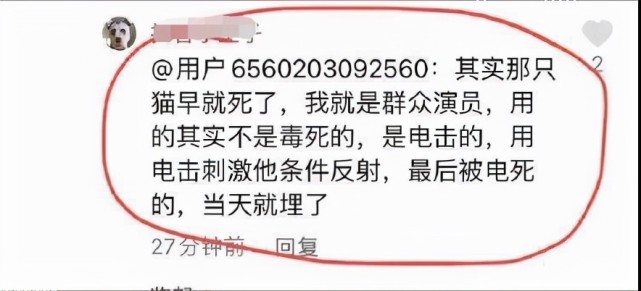 对于《当家主母》来说,备受差评并不重要,重要的是网友关不关注
