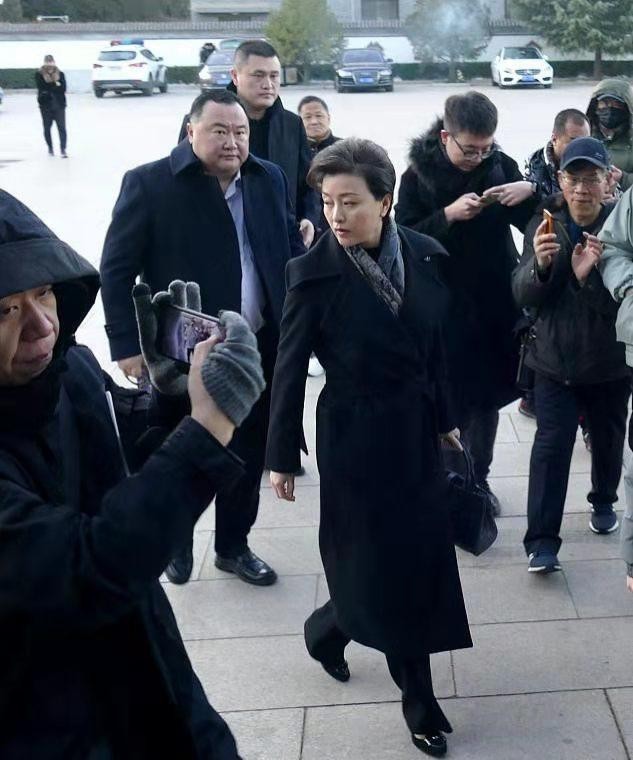 杨澜在街头被拍到,满头白发脸自然衰老,但穿大衣气质高贵端庄!