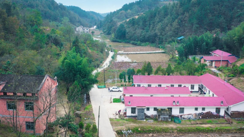 汉阴县:走进蒲溪芹菜沟村