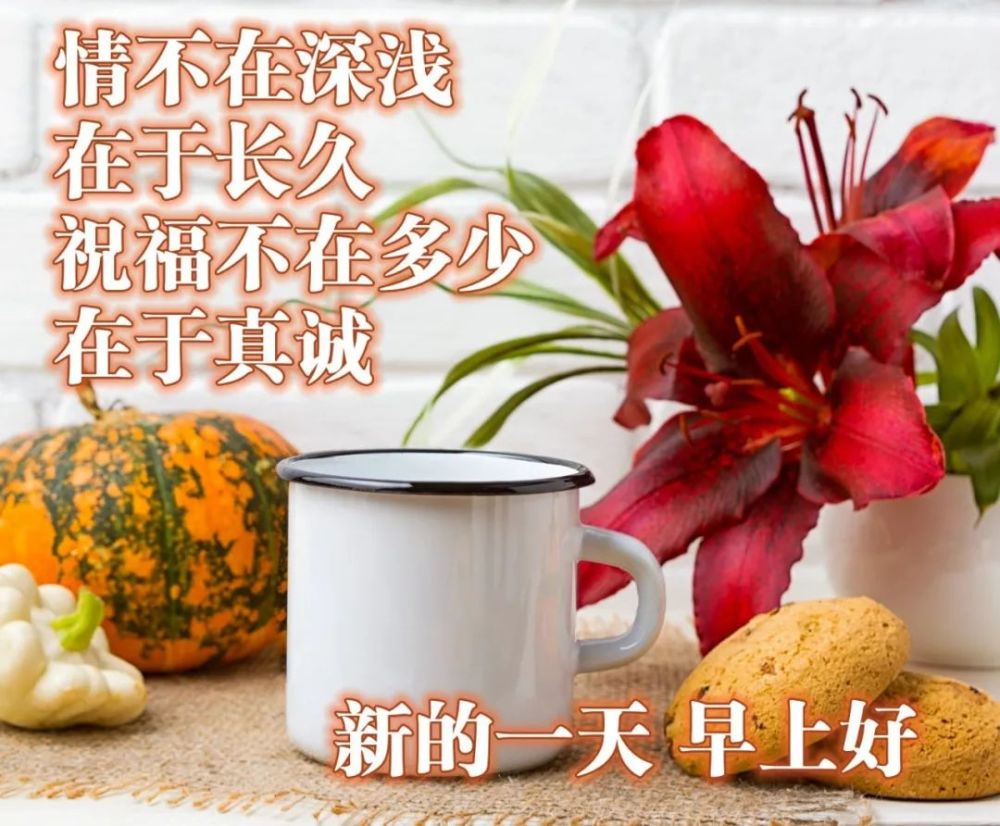 11月最后一天最温暖人心的早上好祝福图片关心朋友的早安心语问候句子 腾讯新闻