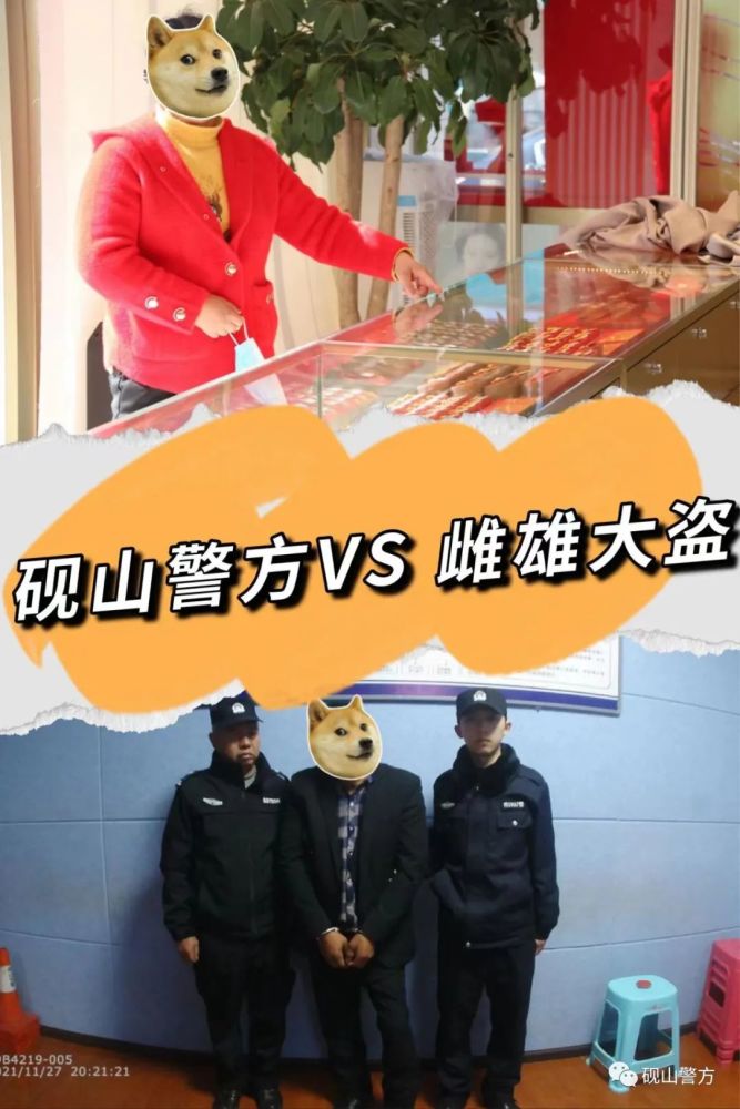 目前,金某某已经被刑事拘留,案件正在进一步调查中.