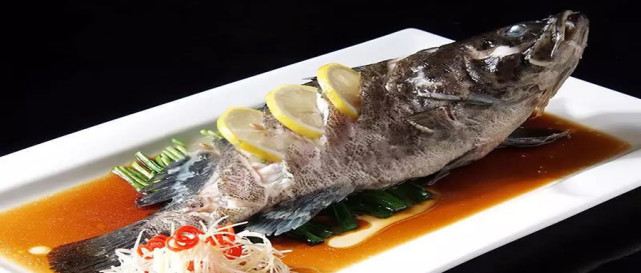 首个成功淡水养殖的海水鱼翡翠斑鱼每公斤价格上百却挡不住人们的喜爱