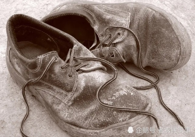 农村俗语三物进宅无灾也有祸啥意思哪三种东西不能进宅