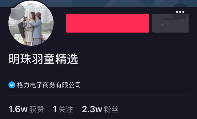 羽童简介图片