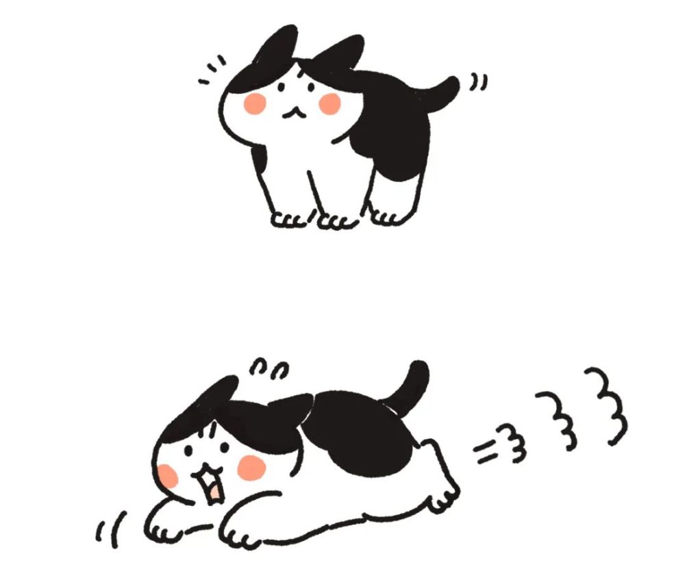 一张图了解,猫为啥总是突然开始疯跑!_腾讯新闻