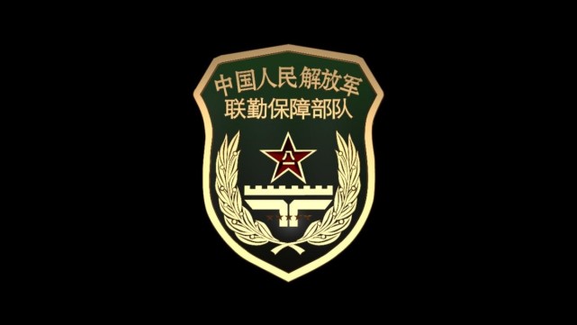 相比起用于一线作战的军兵种,联勤保障部队或许低调了不少,但在后勤