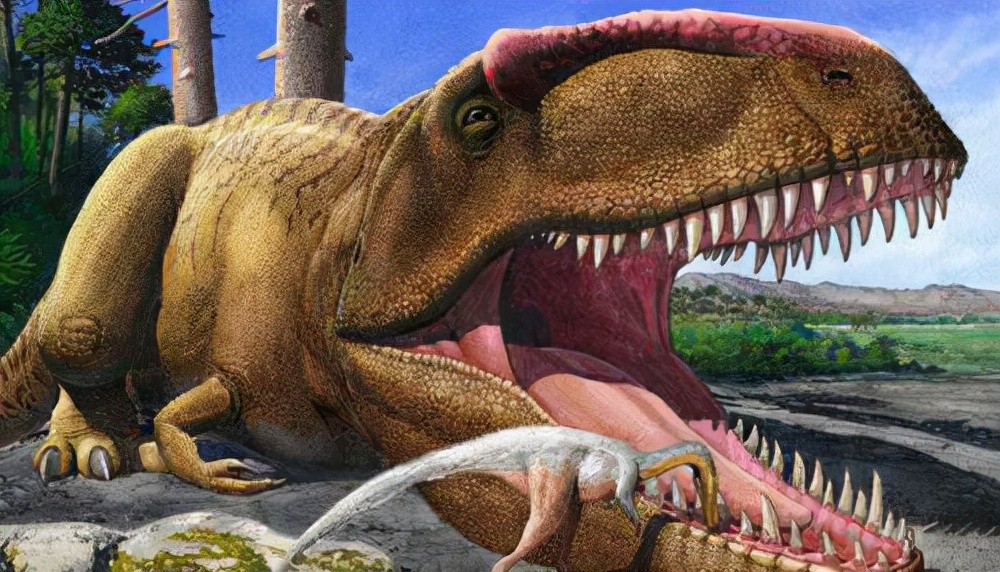 世界上最矮的食肉恐龙