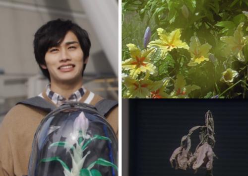 特利迦奥特曼最终boss不是加坦杰厄和乌素姆还得是卡尔蜜拉