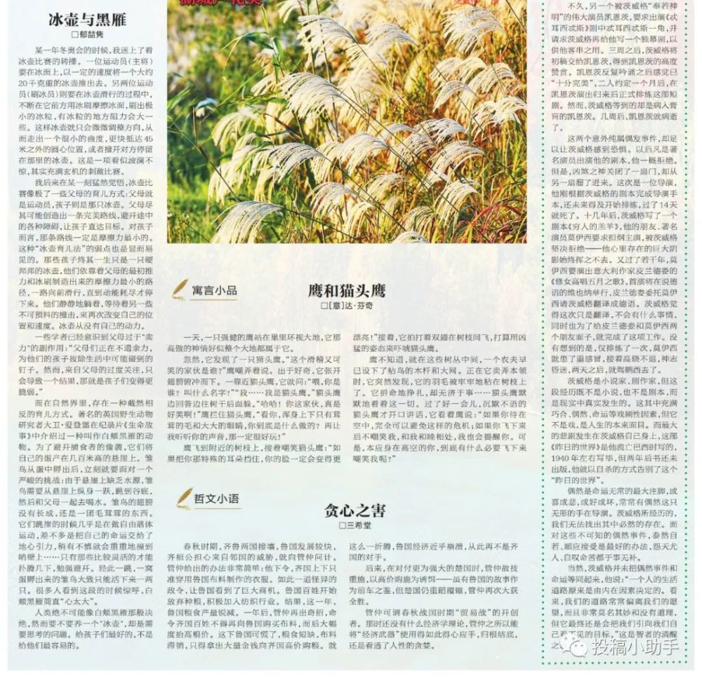合肥晚报"肥东晨刊"投箱邮箱:散文,800字左右即可.
