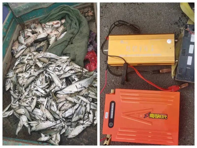 零容忍!一夫妻非法电鱼被查获