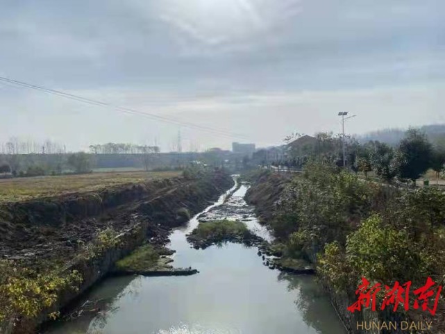 澧县金罗镇水利冬修惠民生