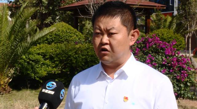 弥渡县新街镇副镇长  李寅生新街镇将大荒地"双绑"蔬菜产业发展模式在