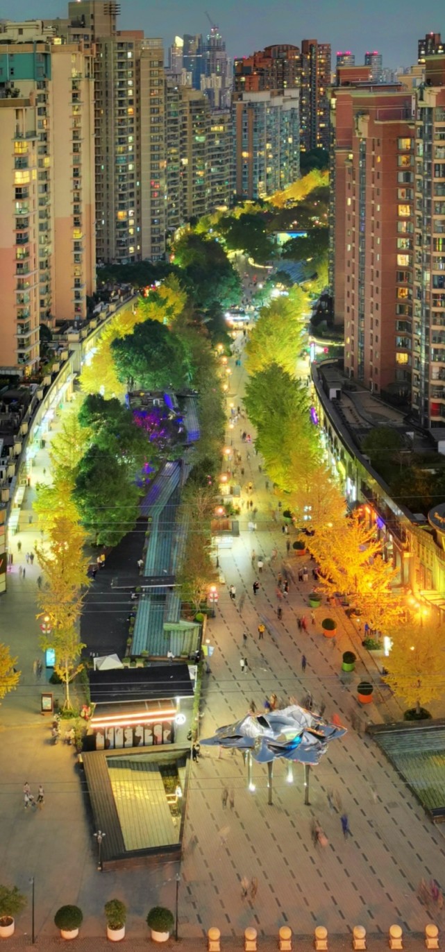 670米长的黄金城道步行街,正成为长宁区实践"全过程人民民主"重大理念