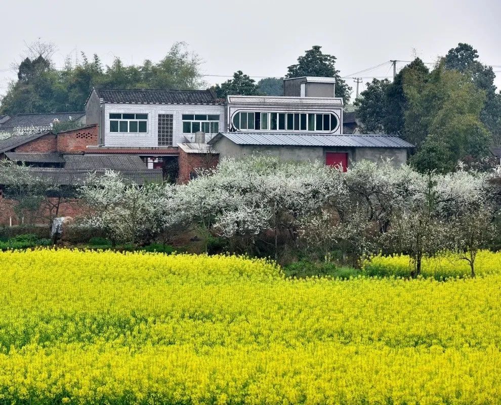 人心动的画面变成了镜头里眼中的风景穿过山野湖畔行走在姚渡镇凉水村