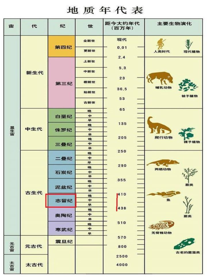 地球纪元表图片