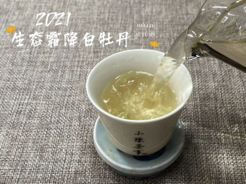 【后记】今年能采到霜降茶,实在是莫大的惊喜.