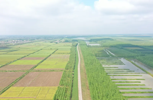 美丽乡村"揭晓,荆州市人民检察院乡村振兴联系点洪湖市乌林镇吴王庙村