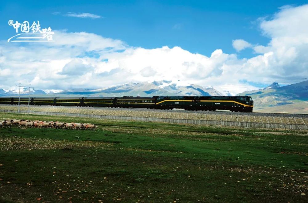至此世界上海拔最高,线路最长的高原铁路青藏铁路全线胜利建成通车
