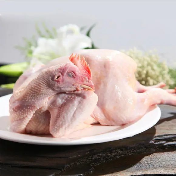 让老广吃了都赞不绝口这只清远鸡什么来头