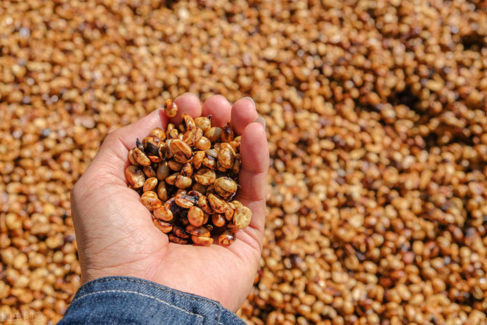 咖啡之旅瑞幸红蜜杯背后的故事