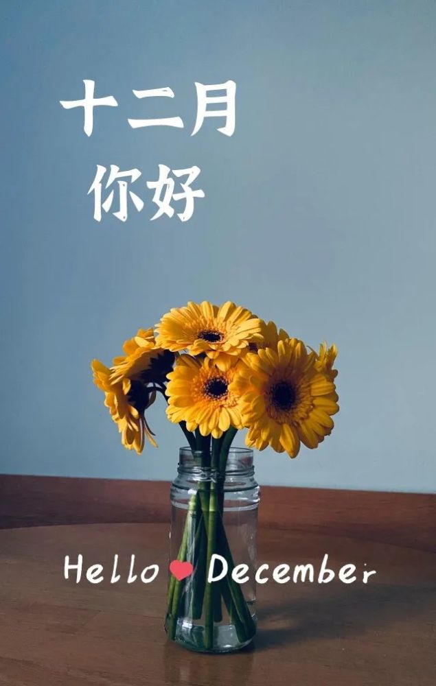 十二月你好图片文案早安语录_腾讯新闻