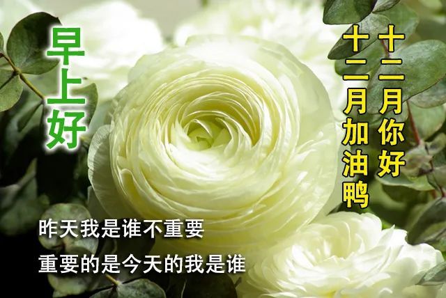 12月第一天清晨早安问候语动态表情 12月最新冬天暖心早上好问候语