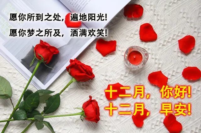 12月第一天清晨早安问候语动态表情 12月最新冬天暖心早上好问候语