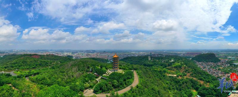 大岗镇,广州大岗镇:政民互助携手,全镇共谋发展-出走网