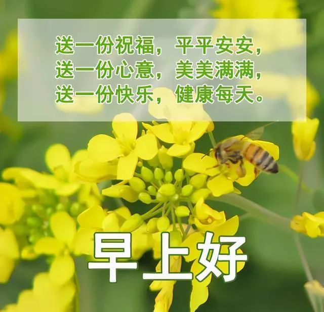 12月1日星期三特漂亮最新版早安祝福圖片微信群發暖人心的週三早上好