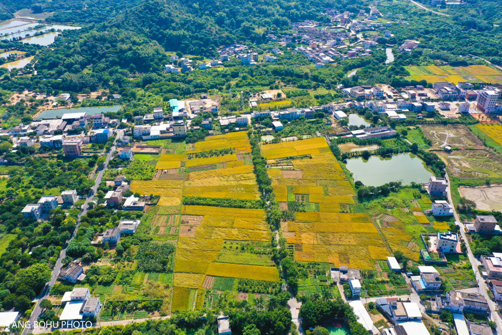 潮州狮峰村,一湖一轴多节点设计理念,如今变成潮州最美乡村